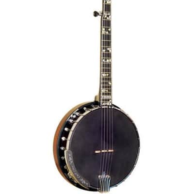 Gold Tone ML-1 Missing Link Bela Fleck Baritone Banjo w/ Case image 2