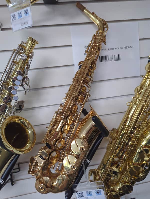 Breitenbach Alto Saxophone 2022 image 1