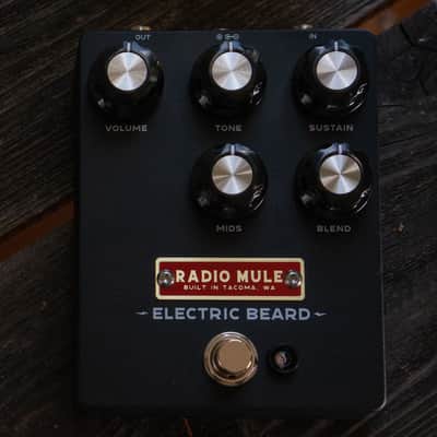 Radio Mule - Electric Beard image 1