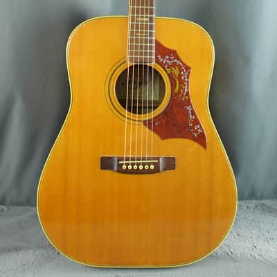 Roje by Zen-On 250 Hummingbird Style Acoustic Japan image 2