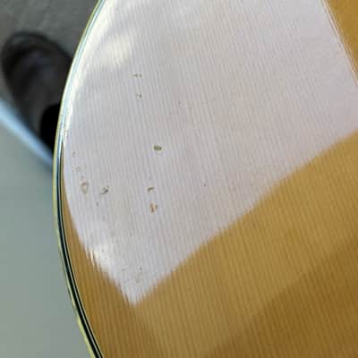Ibanez Concord 1978 image 11