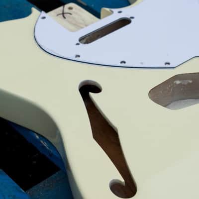 Eden Premier Series Semi-Hollow Alder Body Telecaster Guitar Vintage White image 5
