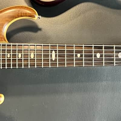 Alembic 6 string neck-through image 1