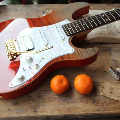 FGN "Expert Odissey Ripe Kaki Gradiation" HARDCASE, 3, 38 KG image 3