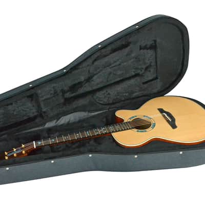 Takamine Limited 2023 Santa FE image 9