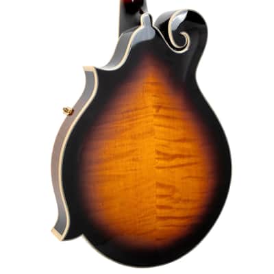 Gold Tone GM-70+ Mastertone F-Style Mandolin image 9