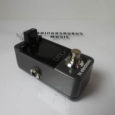 TC Electronics Ditto + Plus Looper Effects Pedal Phrase Sampler Free USA Ship image 2