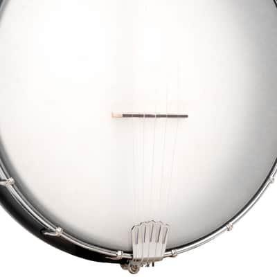 Gold Tone AC-12FL 12'' Fretless Acoustic Composite 5-String Openback Banjo with Gig Bag image 5