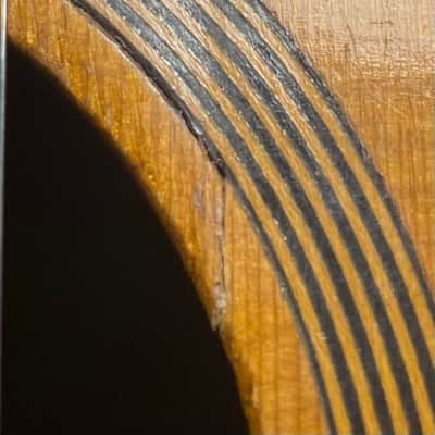 Lyon & Healy Parlor Guitar 1890 Natural - Fit perfectly with a New Guardian CG 018 TP Parlor Case image 11