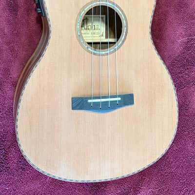 Aloha 858500CE-Baritone w/ HC 2023-2024 - Satin- w/HC image 8