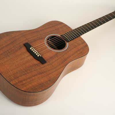 Martin D-X1E Koa 3058745 image 4