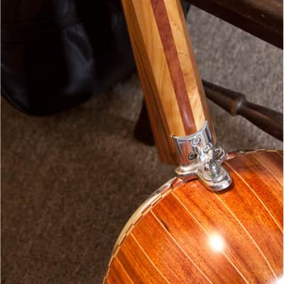 12-String Turkish Cumbus Deluxe w/ Soft Case image 5