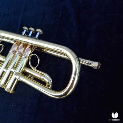 0.462 Mt Vernon Vincent Bach Stradivarius Lightweight STAR 25 trumpet case mouthpiece  gamonbrass image 16