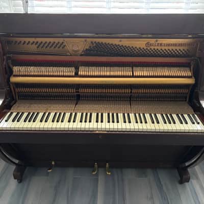 Challen Mandolin Rain Piano 1940's - Mahogany image 9