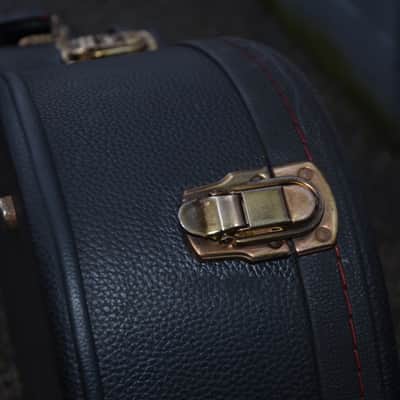 Breedlove guitar case for 00-sized, classical, OM-sized, guitars image 12