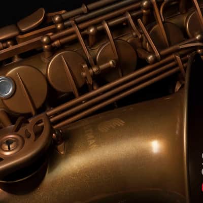 NEW Eastman EAS852 52nd Street Professional Eb Alto Saxophone image 3