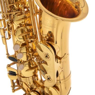 Roy Benson AS-201 Student Alt Saxophon image 3