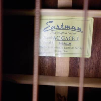 Eastman Grand Auditorium AC-GACE-1 acoustic Guitar image 6