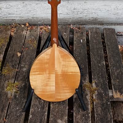 Flatiron 2MW mandolin, 1983 image 11