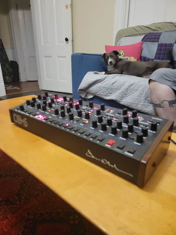 Dave Smith Instruments OB-6 Desktop 6-Voice Polyphonic Synthesizer 2017 - Present - Black Bild 1
