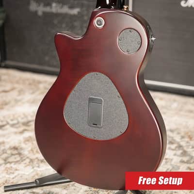 Taylor Custom Shop T5z Custom #C0960 Figured Ironbark/Shamel Ash Hollow Body Electric Guitar with Hardshell Case image 2
