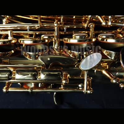 Yanagisawa AWO10 Elite Model Alto Saxophone - Lacquered Brass image 10