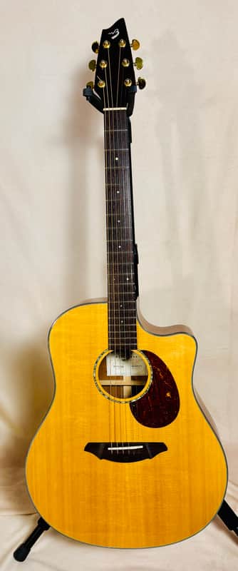 Breedlove AD25/SM 2000s - Natural image 1