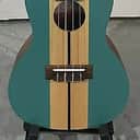 New Old Stock Kala KA-SURF-WIPEOUT Surf Series Concert Ukulele 2010s - Wipeout W/Over $90 Freebies