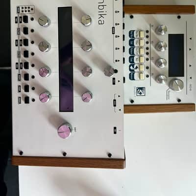 Mutable Instruments 2 Synth Set: Ambika 6-Voice Polyphonic Synthesizer and Shruthi Monophonic Synthesizer image 1