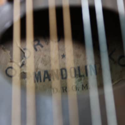 Holdrio Piccolo Mandolin circa 1930 image 12