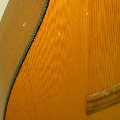 Cordoba CP110 Iberia Series Nylon String Classical Acoustic Guitar image 3