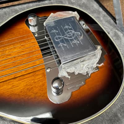 GOLD TONE LS-8 8-string electric lap steel guitar new B-stock w/ Hard Case image 3