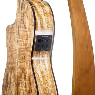Cordoba C5-CET LTD Thinbody Classical Guitar image 7