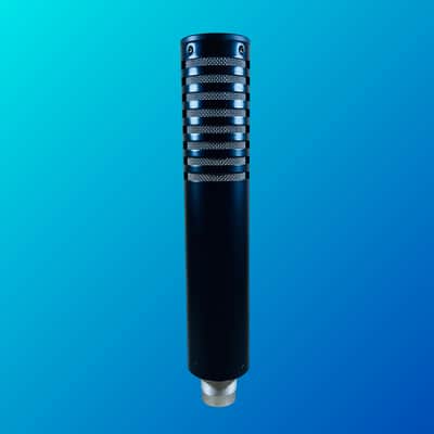 Royer R-101 Ribbon Microphone image 2
