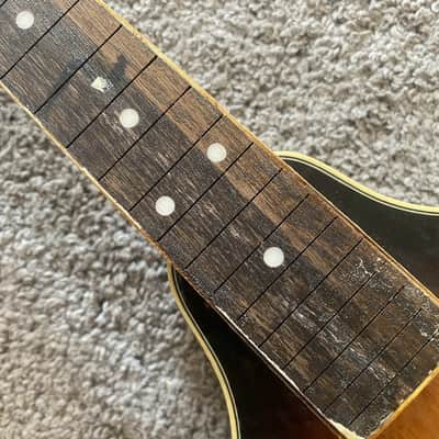 Sunburst 8 String Mandolin Project, Spruce Top, Mahogany Body, Rosewood Fingerboard image 6
