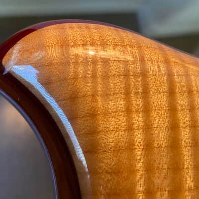 Alembic Mark King Signature 5-String image 11