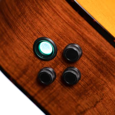 Cort LUXE II | Frank Gambale Signature Concert Acoustic Electric Guitar. New with Full Warranty! image 4