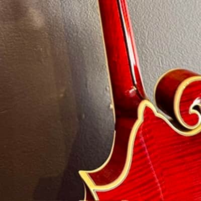 Eastman MD814 2024 - Cherry Gloss image 6