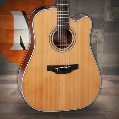 Takamine GD20CE - Natural Satin (TAKGD20CENS) image 1