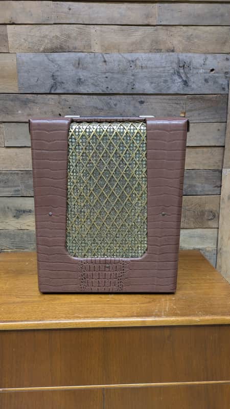 Vintage Danelectro Sherwood Master Model 51-2547 1x12" Amp - Recovered/Restored image 1
