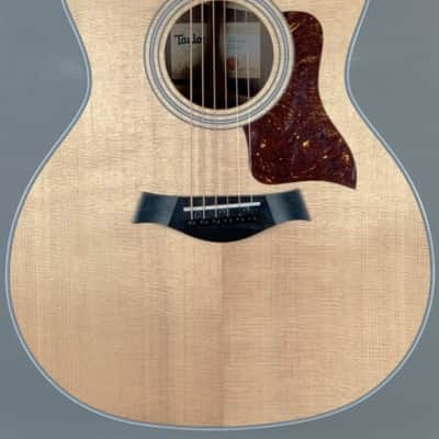 Immagine Taylor 414CE Rosewood - 2