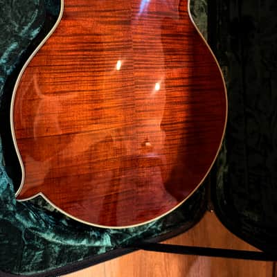 Bourgeois Guitars M5-F-BT, Bourgeois M5-F black top f- style mandolin- aged tone Adirondack/ European maple. 2025 - High gloss finish. Bourgeois M5-F black top f- style mandolin- aged tone Adirondack/ European maple. Mint condition. image 2