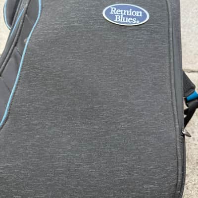Caparison Dellinger 7 FX-AM 2019 - Dark Matte Black image 15