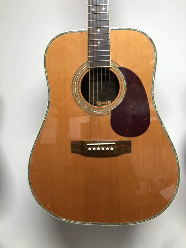 Zager ZAD 80 EZ-PLAY Acoustic Guitar image 1