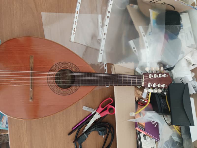 Mandolino Prudenzio Saez image 1