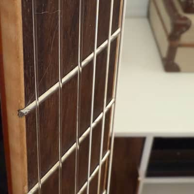 Ortega TourPlayer Series Nylon String Acoustic-Electric Guitar - RTPDLX-FMA-L, Left-handed, Flamed Mapled Blue image 19