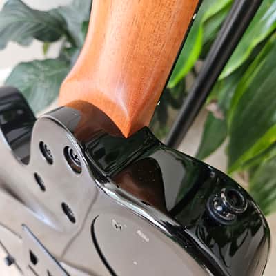 Godin xtSA and Boss GR-55 image 13