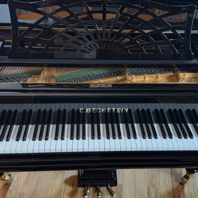 Immagine Bechstein V 1903 - Black Polish - 17