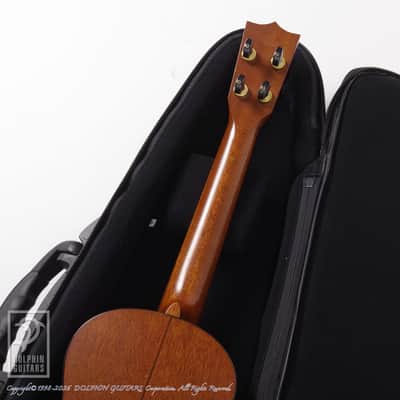 KAWAKAMI GUITARS＜MIJ> T-1M DX 2006 image 8