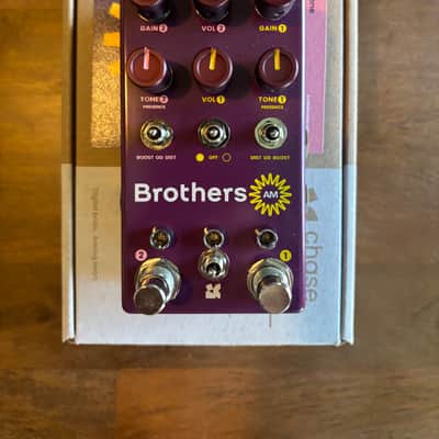 Chase Bliss Audio Brothers AM 2025 - Present - Various image 2